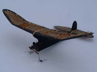 Photograph from the history of Minneapolis Model Aero Club (MMAC), page 21